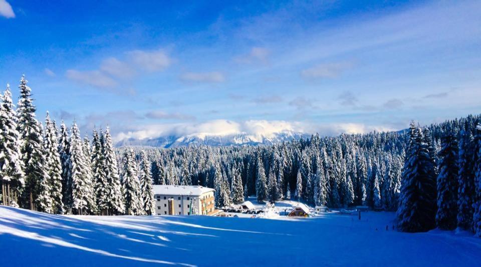 Apartamento Sara Pokljuka